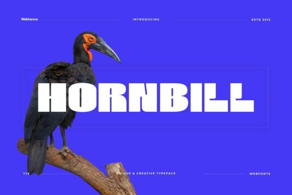 Hornbill Display Font: Bold Typography for Handmade Brands