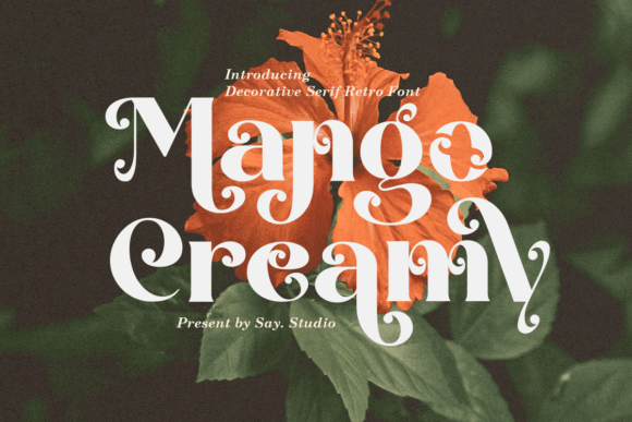 Mango Creamy: The Elegant Display Typeface for Modern Web Design